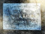 image of grave number 588561